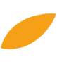 activities icon